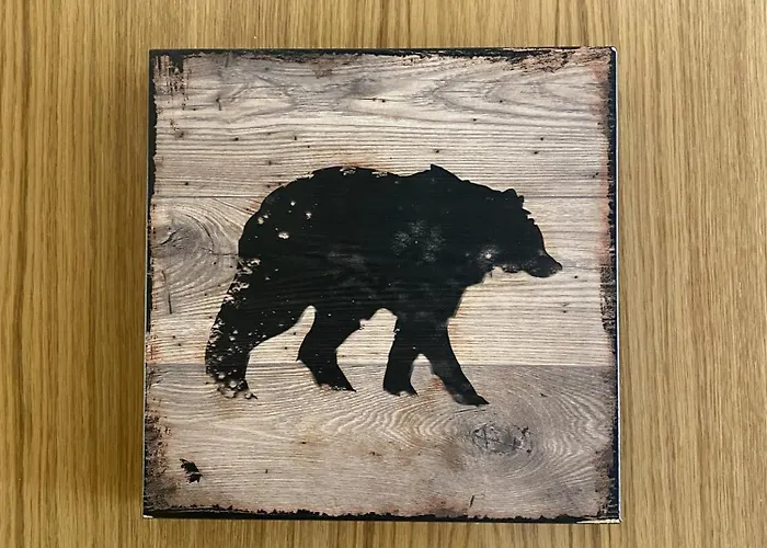 Pensjonat Clarens Cangas De Narcea